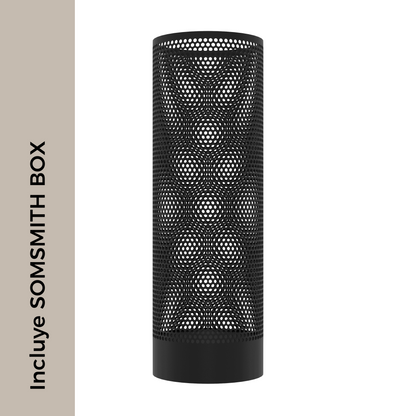 Paraguero_esconder_ocultación_somsmith